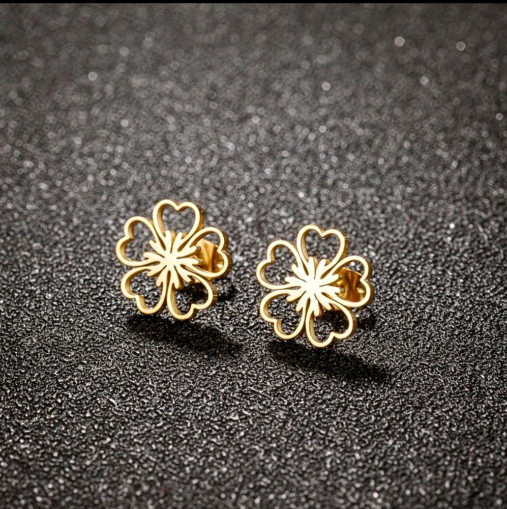 Stainless Steel Earring New